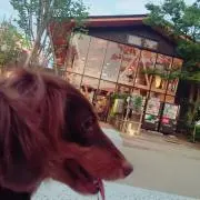 himeの画像