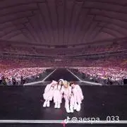 亀仙人の画像