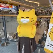 ミヤの画像
