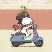 PEANUTSの画像