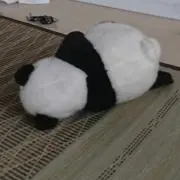 aママ