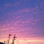 やんじゅんの画像