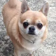 まっちゃん
