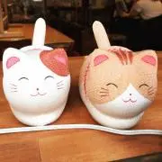 ころりん⭐︎の画像