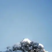 natsumeの画像