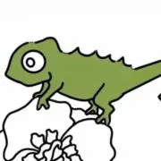 Kの画像