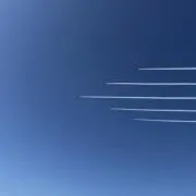 だいぽんの画像