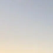 やっちの画像