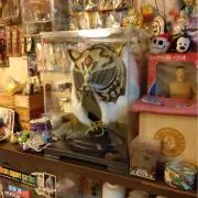 r.nakatakeの画像