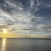 明日は未来の画像