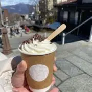 ミーコの画像