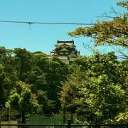 Raの画像