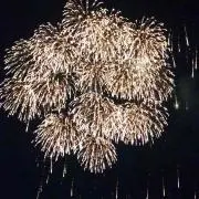 くるみの画像