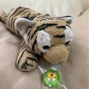 とらかわの画像