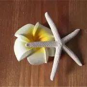 ohanamama