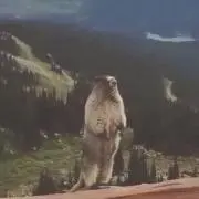 9の画像