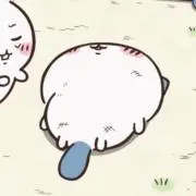 Stellaの画像