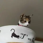 tkrstの画像