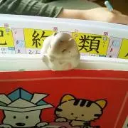 けらりーのの画像