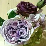 こころのまま