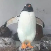 I☆