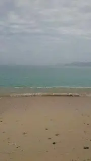 ての画像