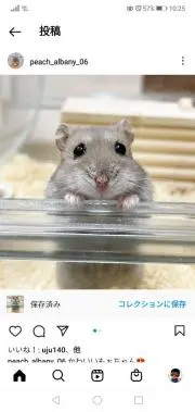 て～やん