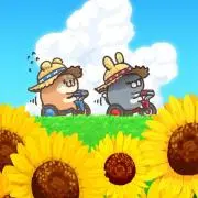 柴ワン