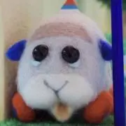 モルカーちゃんの画像