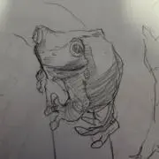 FeztarGAの画像