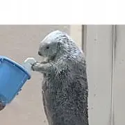 marukoの画像