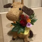 くぅちんの画像