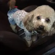 えりか