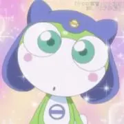玉桂狗(即購入OK)の画像