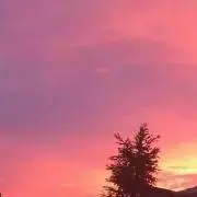 宮野の画像