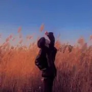 yjmの画像