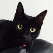 はなはな  プロフお読みください(^^)