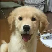 みみちゃんママの画像