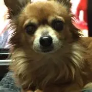 もぐきち