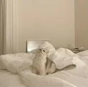 べじちゃんの画像