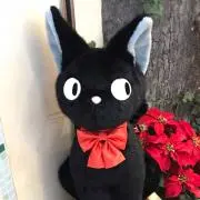 Miyuki Kanto