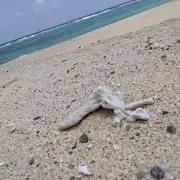 ◇プロフ必読◇  プライズの画像