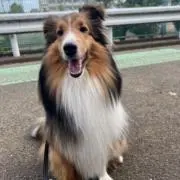 ひろ
