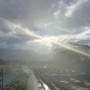 yuuuの画像