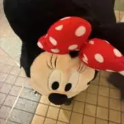 ୨୧˙˳⋆﻿の画像