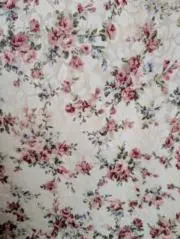 もも【セール中】の画像