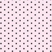 うに単品の画像