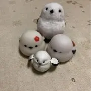 かずの画像