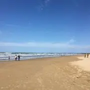 たく