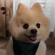 けいの画像